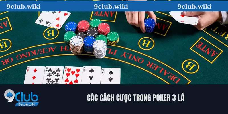Các Cách Cược trong Poker 3 Lá
