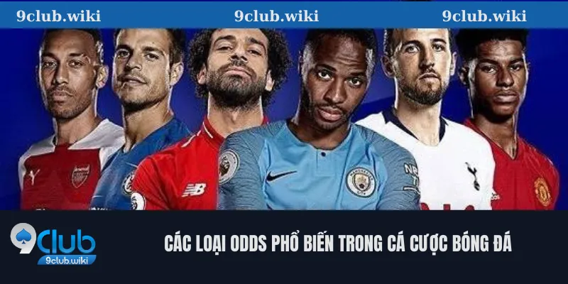 Các loại odds phổ biến trong cá cược bóng đá