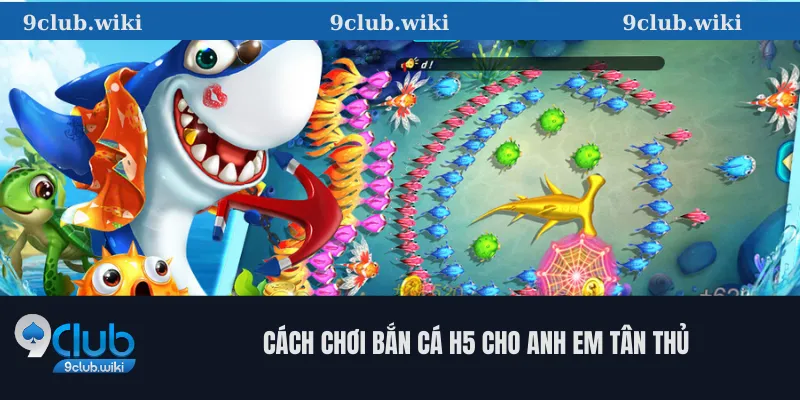 Cách Chơi Bắn Cá H5 Cho Anh Em Tân Thủ
