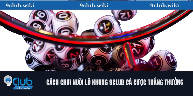 Cách Chơi Nuôi Lô Khung 9club Cá Cược Thắng Thưởng