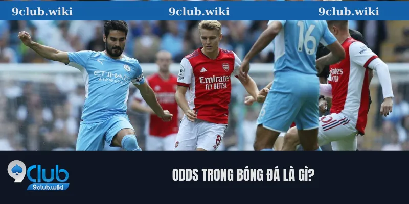 Odds trong bóng đá là gì? 