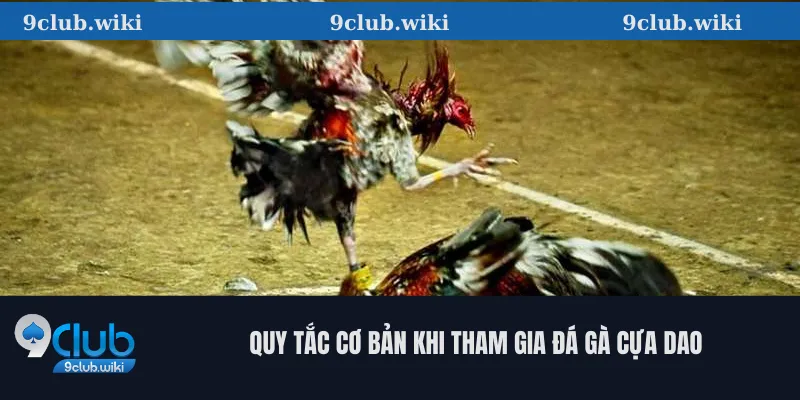 Quy Tắc Cơ Bản Khi Tham Gia Đá Gà Cựa Dao